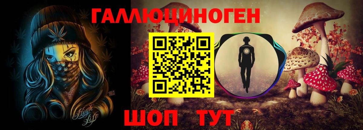 Корсаков  Псилоцибиновые грибы GOLDEN TEACHER  сколько стоит  Вход с VPN 