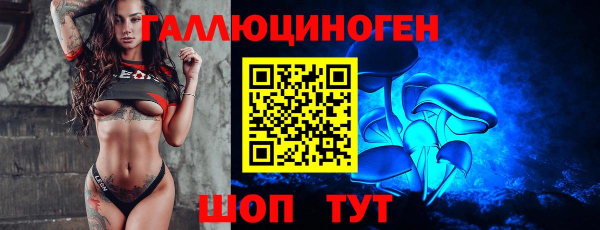 Псилоцибиновые грибы MAGIC MUSHROOMS Корсаков